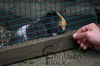 DSC00182 kl