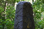DSC00157 kl