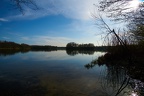 DSC07031