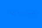 7259CAAF-50B0-4F03-B5C4-EF80F2A20955