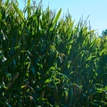 1457483F-D496-4F9A-B069-07C6B73B3B02