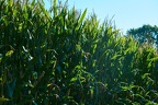 1457483F-D496-4F9A-B069-07C6B73B3B02