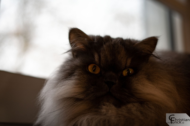 DSC04801.jpg