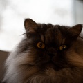 DSC04801