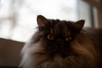 DSC04801